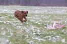 Coursing: s větrem o závod