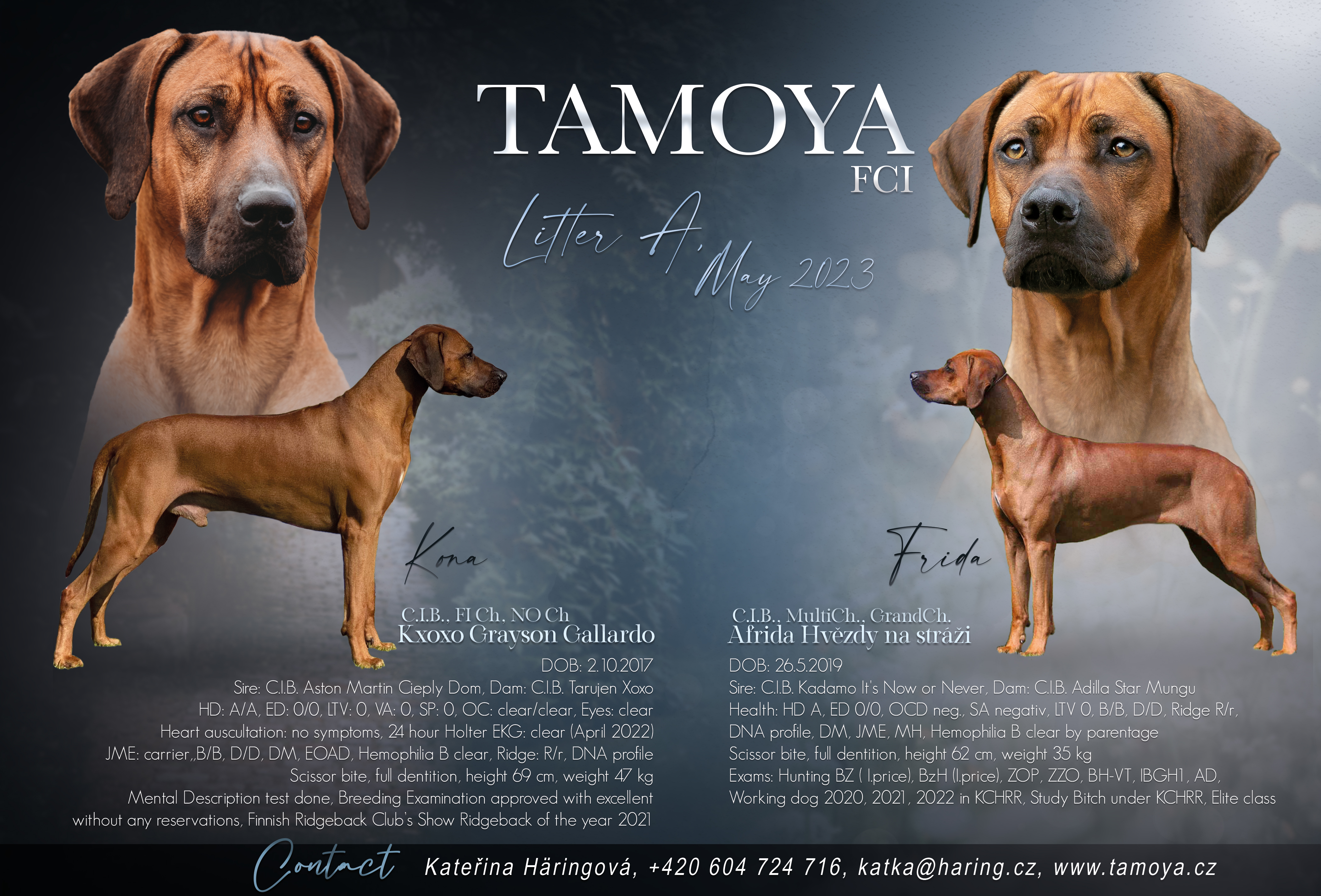 Plakát Tamoya vrh A